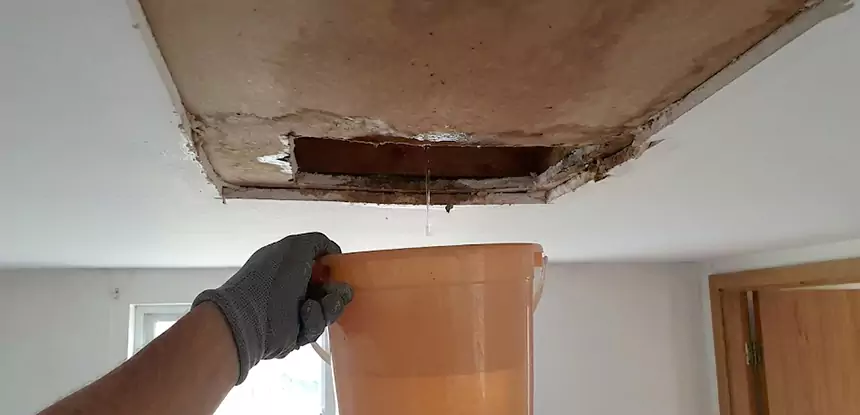 Ceiling Mold Repair Stilwell